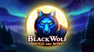 Black Wolf 